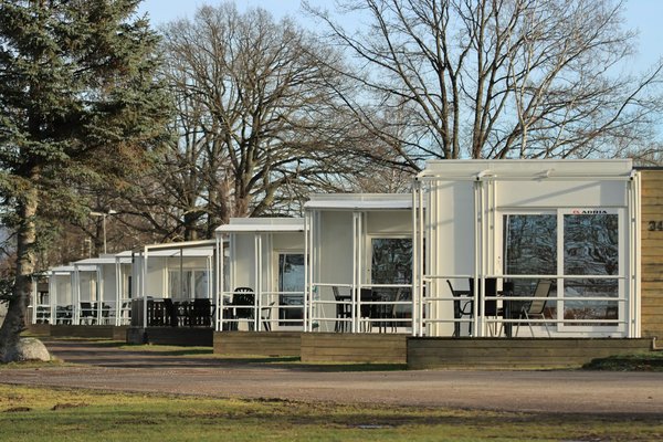 Discover the Top UK Campsites for Unforgettable Dark Sky Park Stargazing Adventures